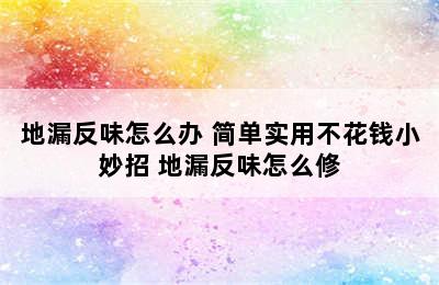 地漏反味怎么办 简单实用不花钱小妙招 地漏反味怎么修